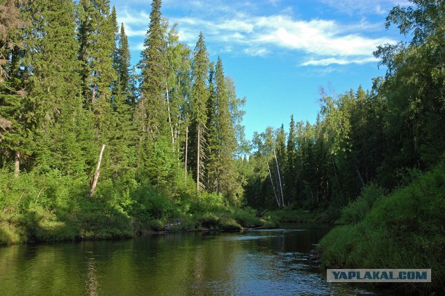 Деревенская Америка - 2
