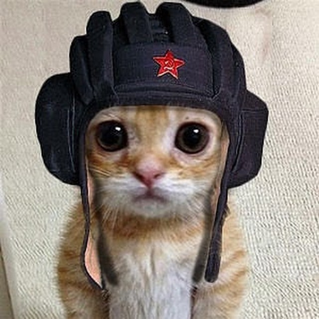 Выяснилась причина смерти Ельцина