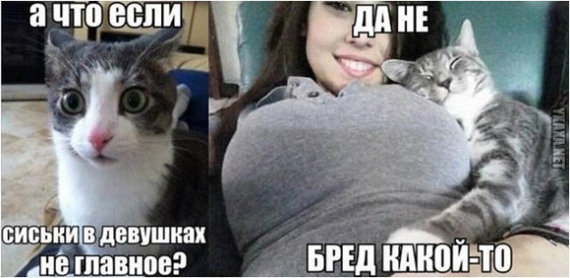 8 захватывающих фактов о женской груди