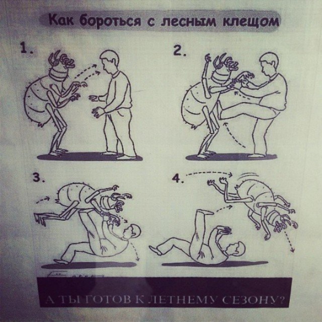 Приходи ко мне лечиться и корова, и волчица! Тема о буднях ветеринарных врачей.