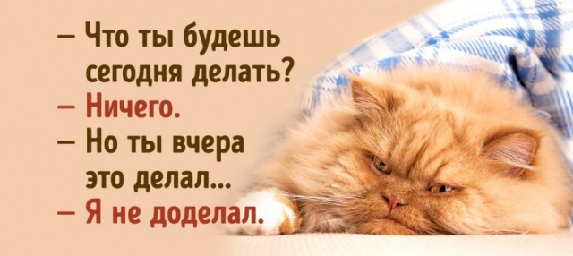 Картинки по-приколу