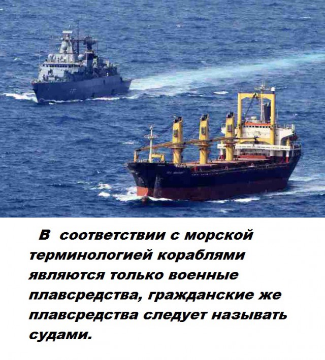 Подборка бесполезных фактов