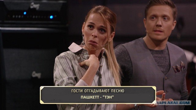 Пашкет, демотиваторы и мемы