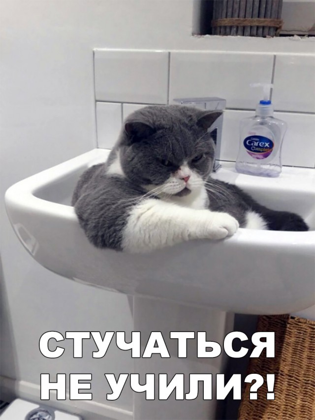 Нестандартный юмор