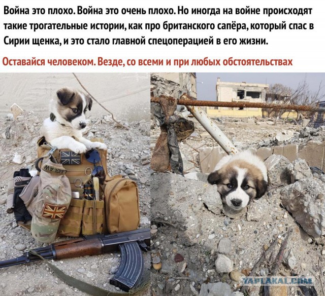 Трогательные истории в фотографиях