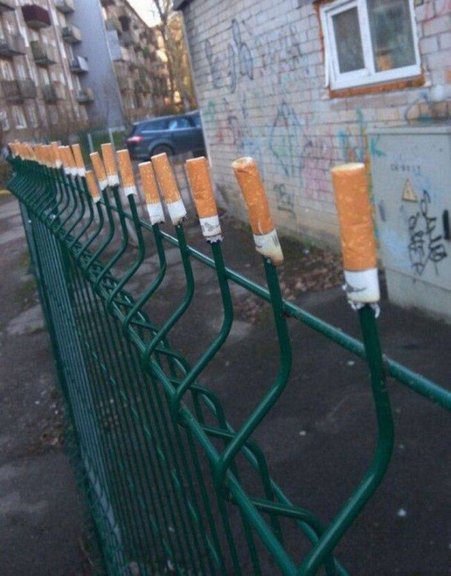 И всё-таки она наша. Лента картинок