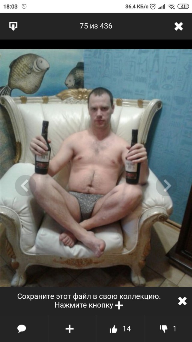 Чудики из социальных сетей