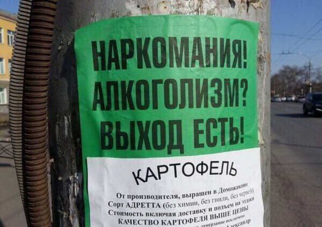Асфальт, стены, заборы... Так пить или жить?