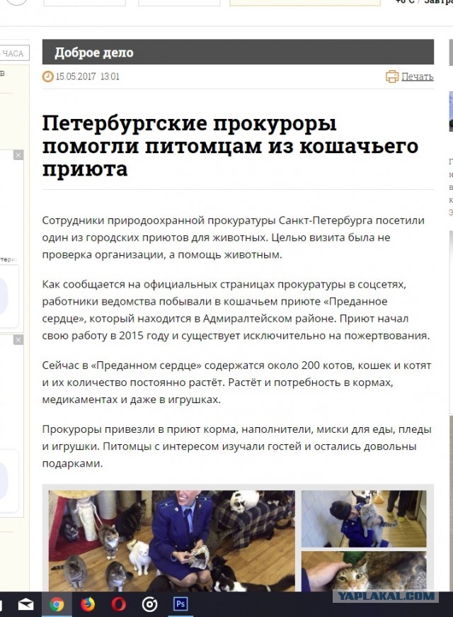Помогите вернуть кота! Приют "Преданное сердце" украл кота и не отдает!