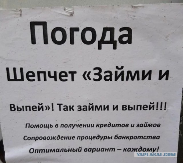 Алкопост! В картинках 15.02.20