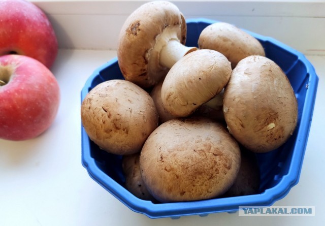 Быстромаринованные шампиньоны.