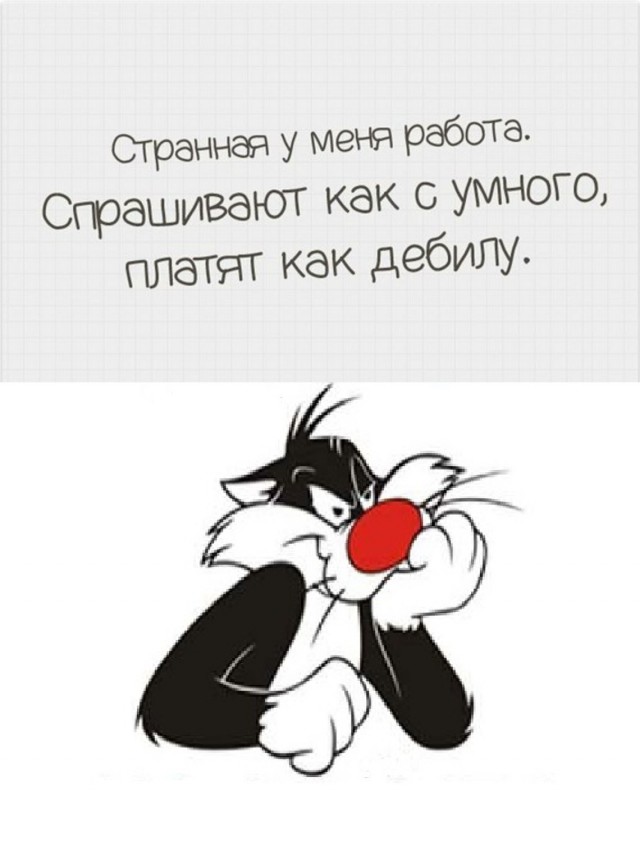 Так себе картинки #15