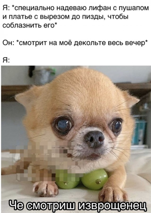 Бредзона 12.11.2020