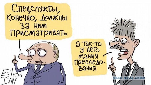 Кто они — авторы самого громкого расследования года?
