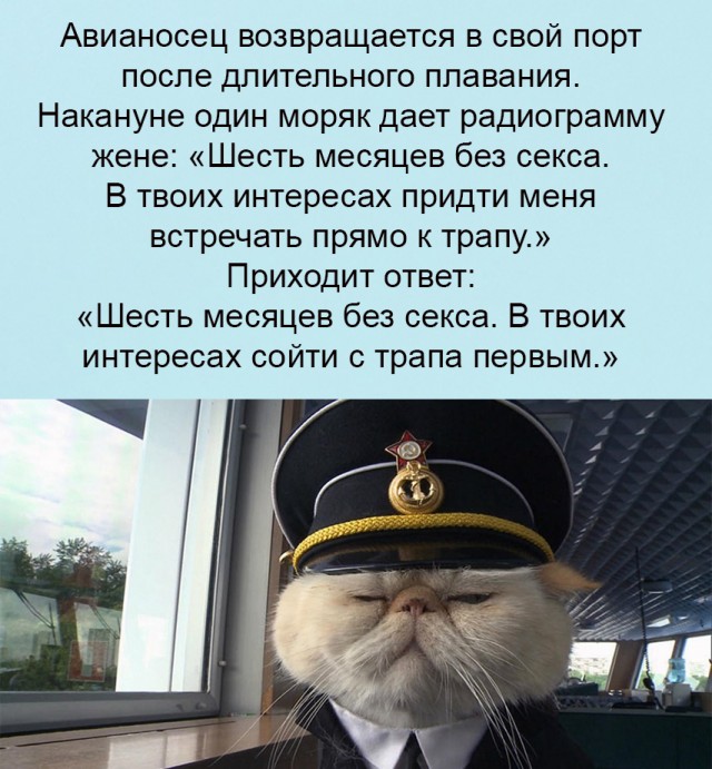 Бредзона 10.02.21