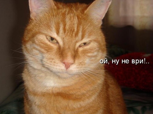 Страсти по печени