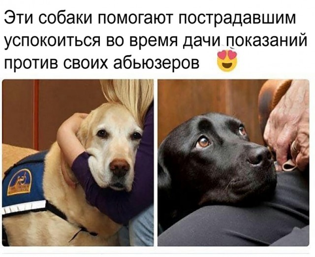 Картинки и мемы для настроения