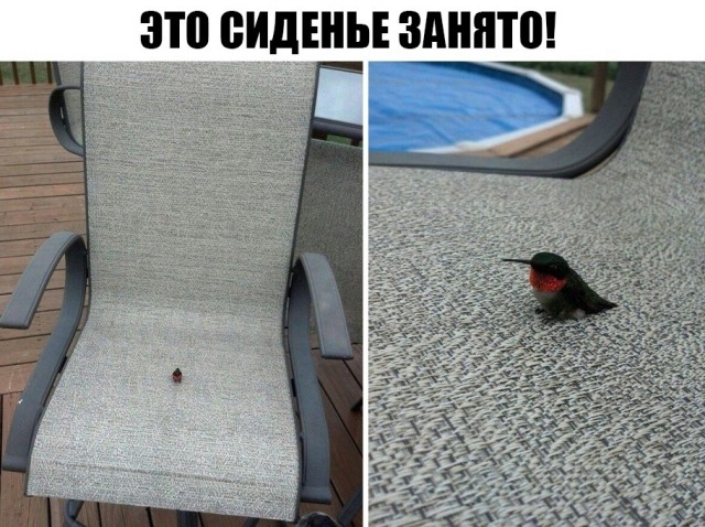 Так себе картинки 02.07.21