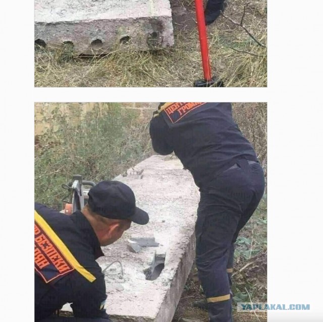 В Одесской области спасатели освободили кота, который застрял в одном из отверстий бетонной плиты