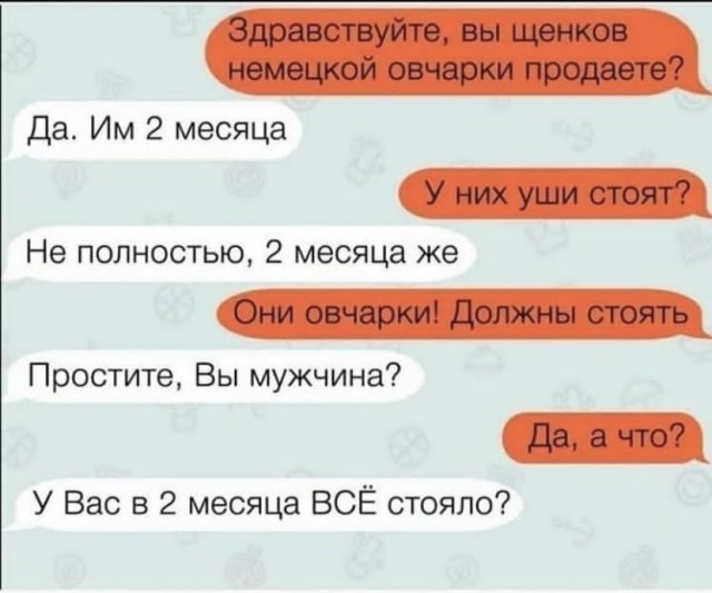 Так себе картинки 13.08.21