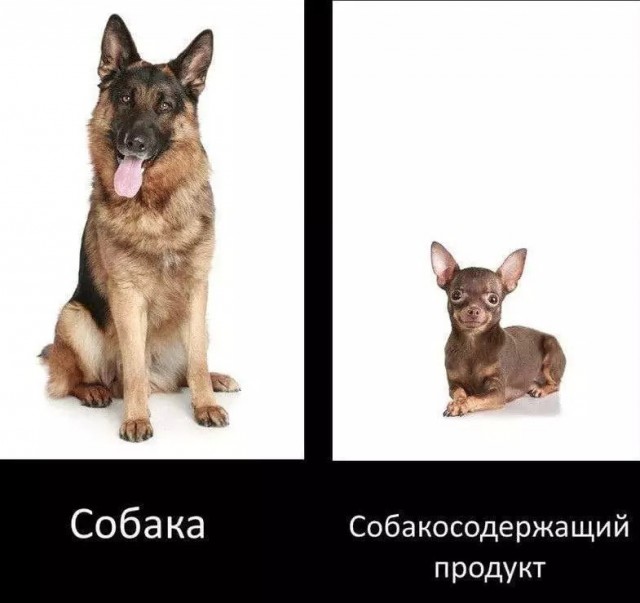 Юмор в картинках 16.08.21