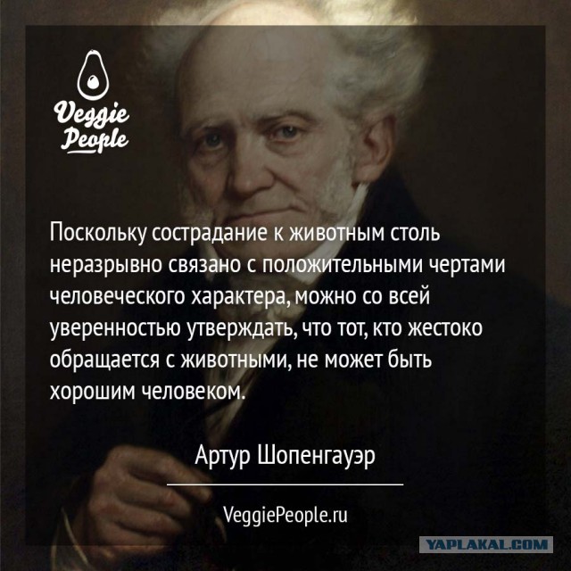 Как люди с этим потом живут?