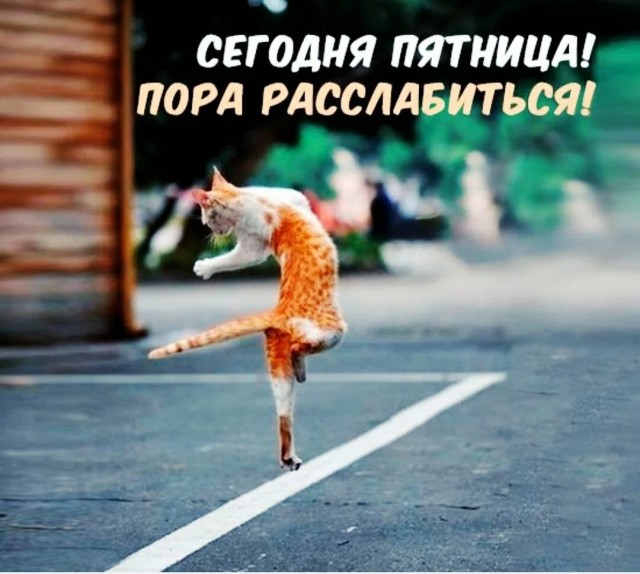 ПяТниЦо! (12.11.2021)