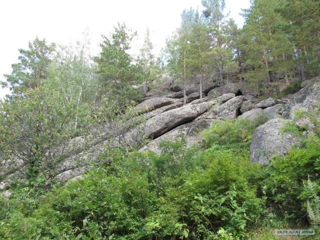 Озеро Моховое, Алтайский край