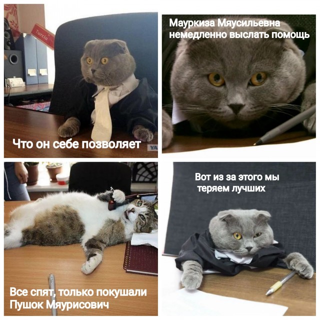 Отстань - нет у меня молока!