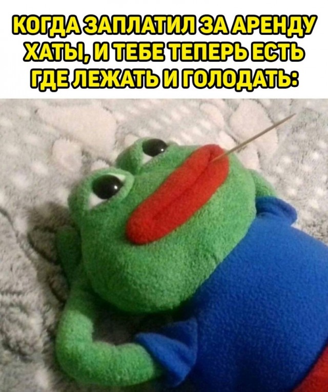Так себе картинки 11.06.22