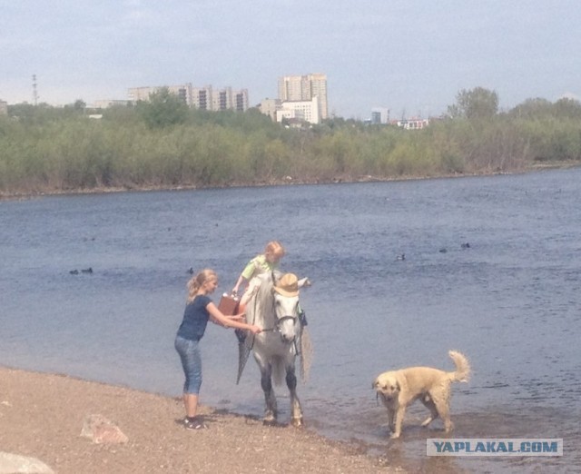 Поездка в Красноярск