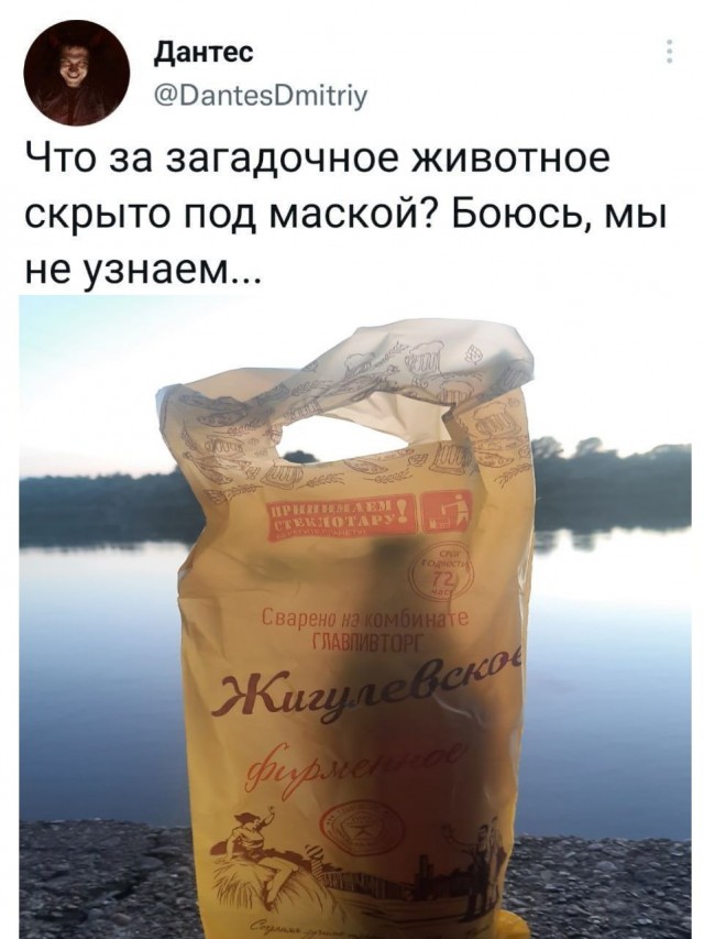 Мемы на конец июля