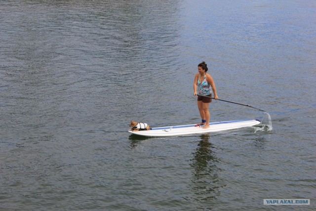 Путешествие на Гавайи
