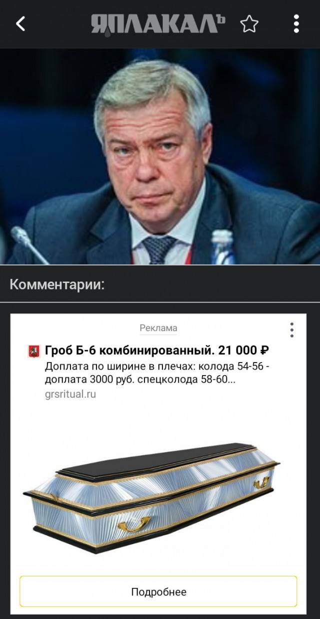 Ростовский губернатор Голубев заявил о получении нового мобилизационного задания
