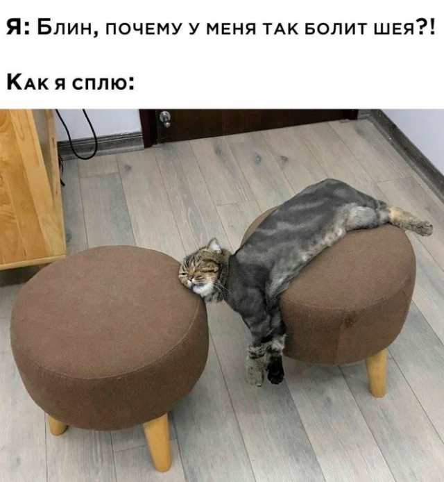 Немного картинок для настроения - 117