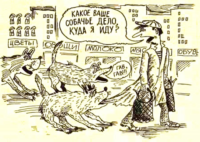 Карикатурист Василий Дубов.