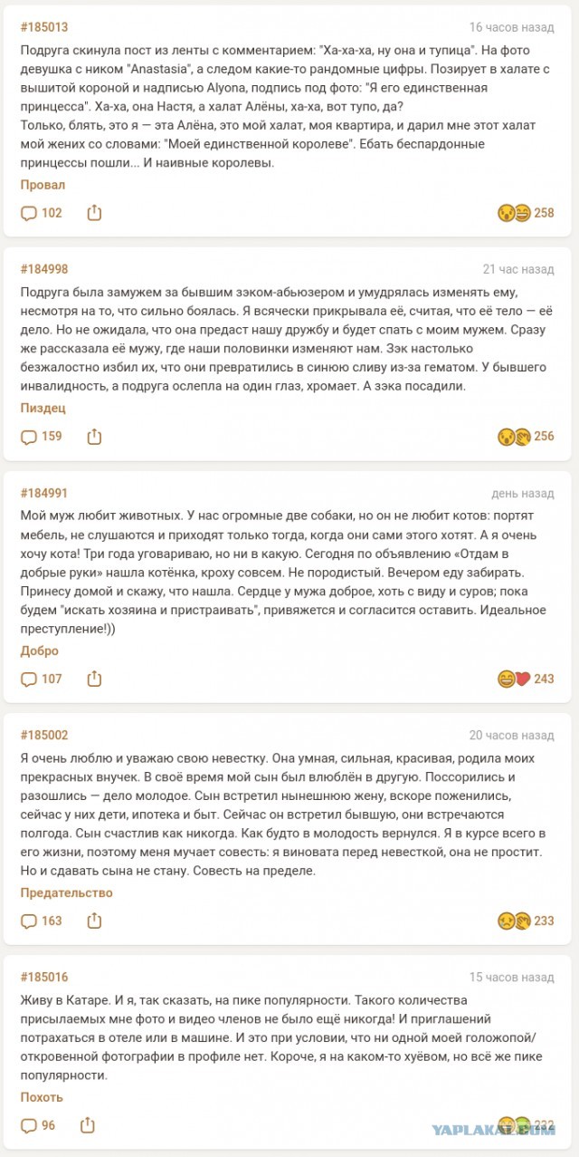 В этой истории прекрасно все!