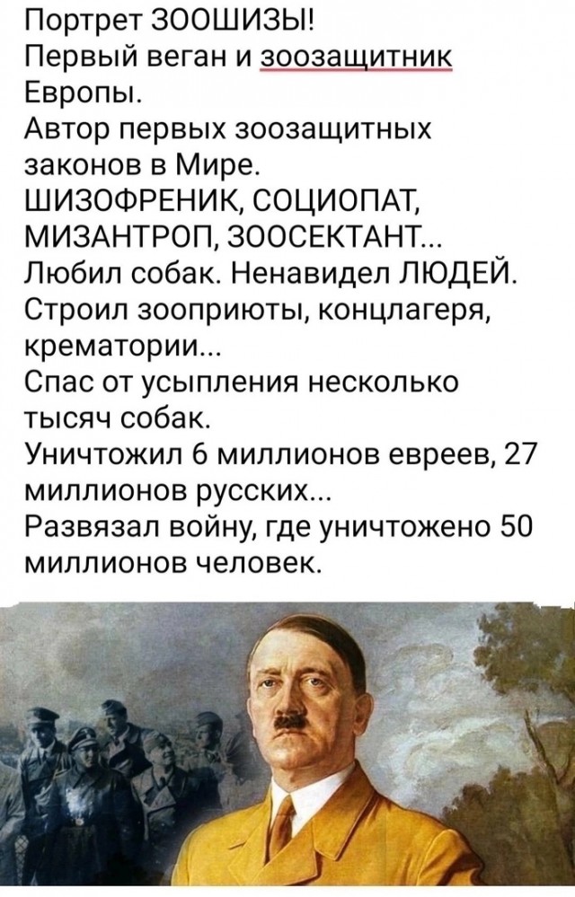 Регионам разрешили усыплять бездомных собак