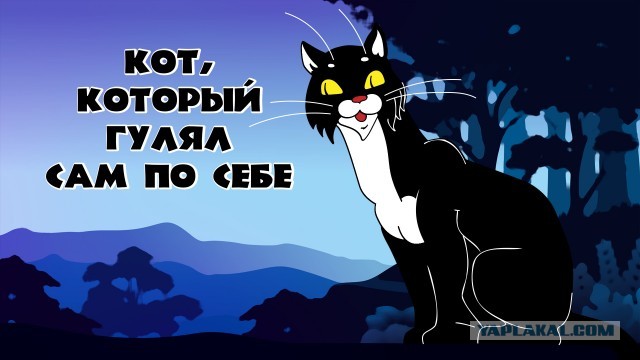 Депутаты запретили самовыгул собак и котов