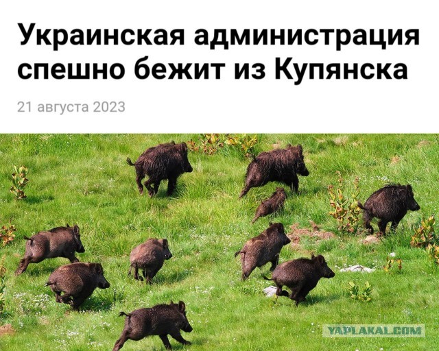 Зеленский сообщил, что достиг с Нидерландами договоренности о поставке 42 истребителей F-16 Украине