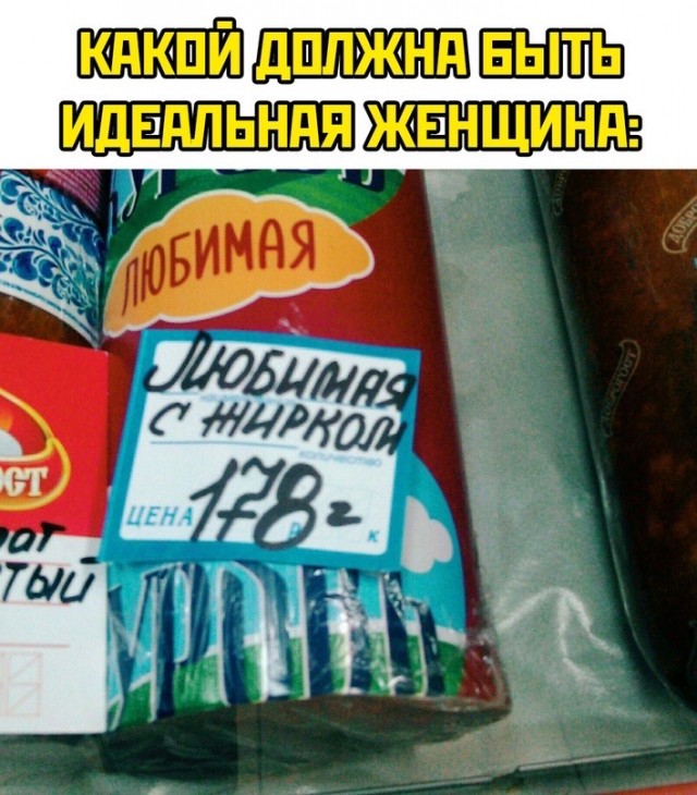 Весёлый полтишок 15.09.23