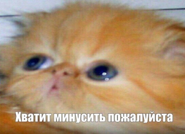 Пьянь идёт на таран