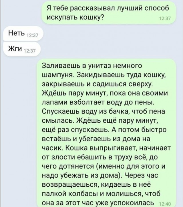 Среда пришла - неделя прошла, дорогие деграданты