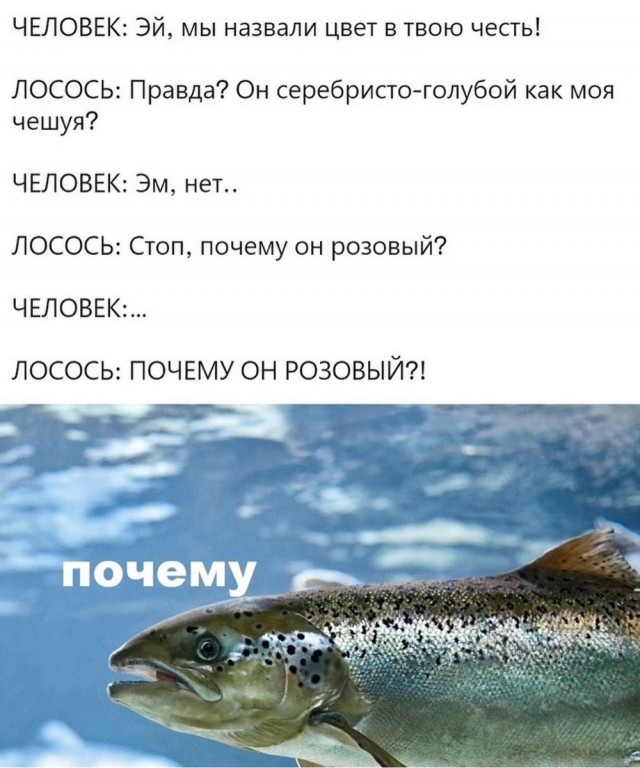 Отряд быстрого деградирования