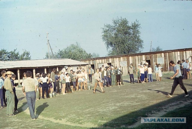 Особенности рыбалки на сома