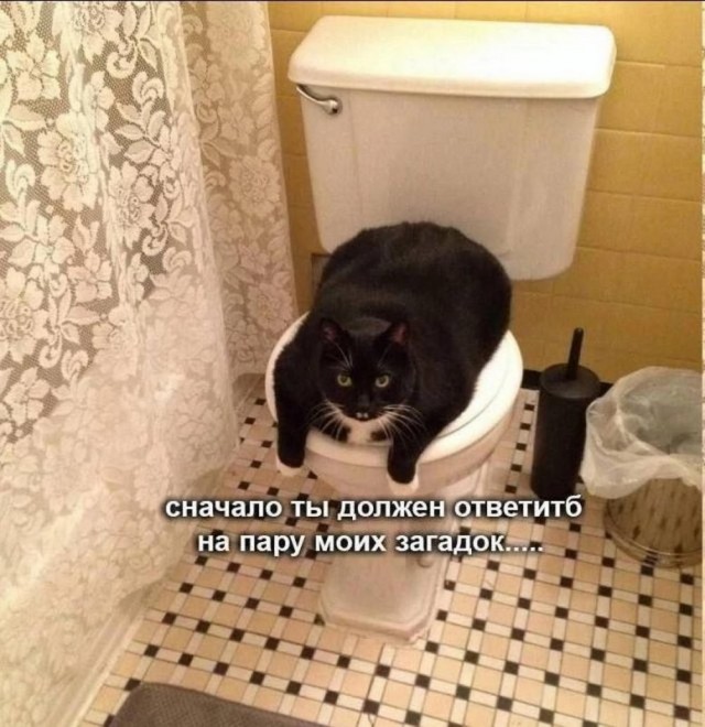 Никакие картинки