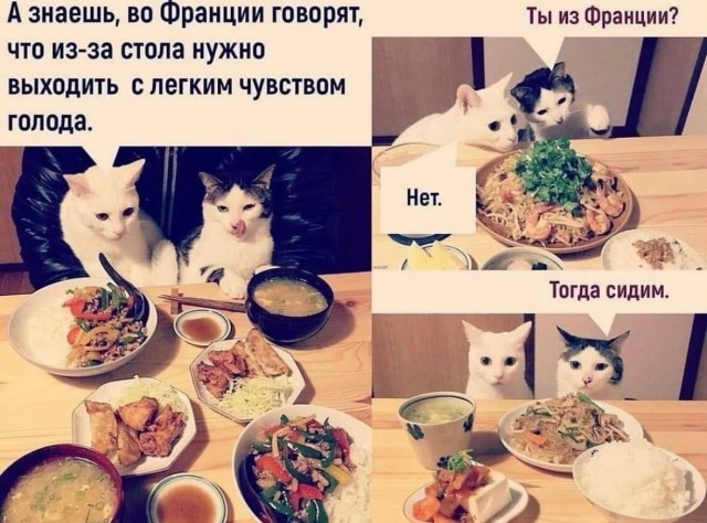 Завалялось тут случайно немного забавных картинок