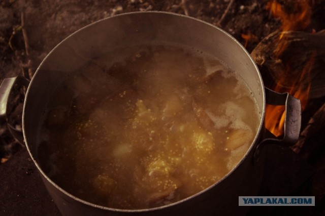 В дали от городской суеты