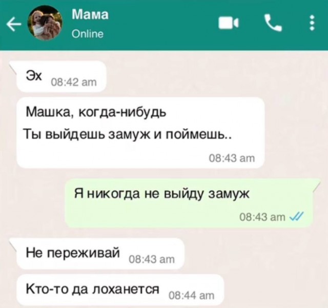 Всего понемногу. От 21.11.2024.