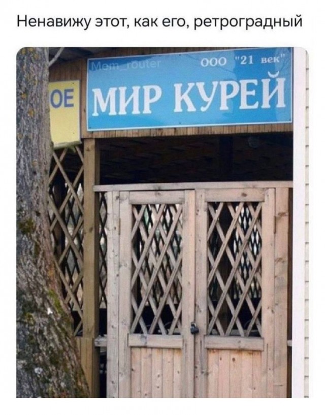 Так себе картинки 24.12.24